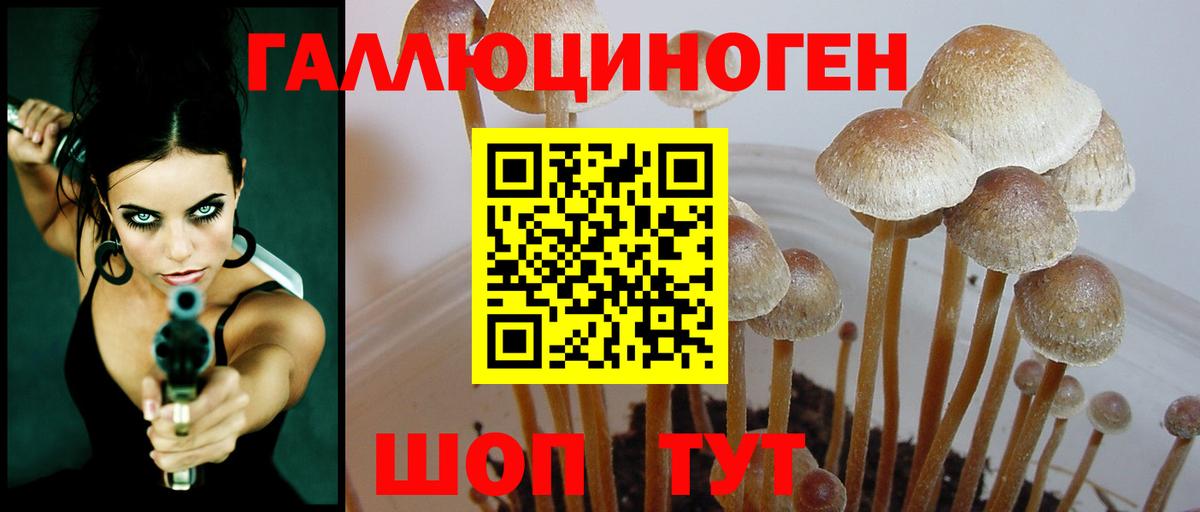 Псилоцибиновые грибы прущие грибы Видное