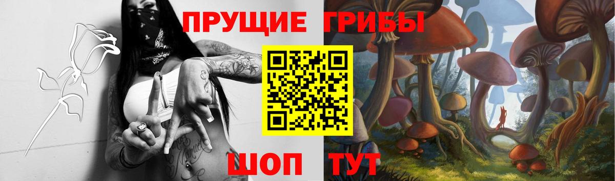 Видное  Псилоцибиновые грибы Magic Shrooms  где купить наркотик  Вход с VPN 